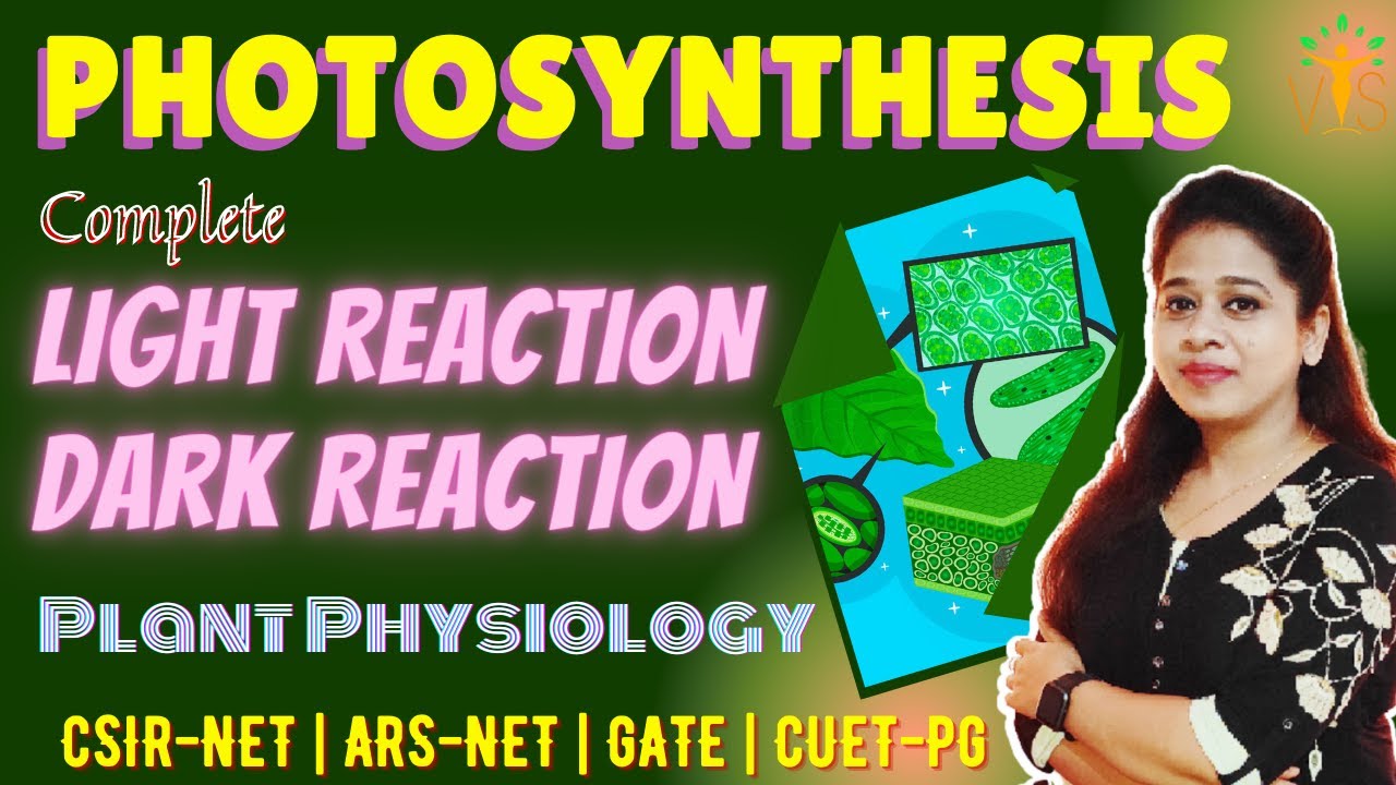 Photosynthesis | Light Reaction | Dark Reaction | CSIR-NET Life Sciences | ARS-NET
