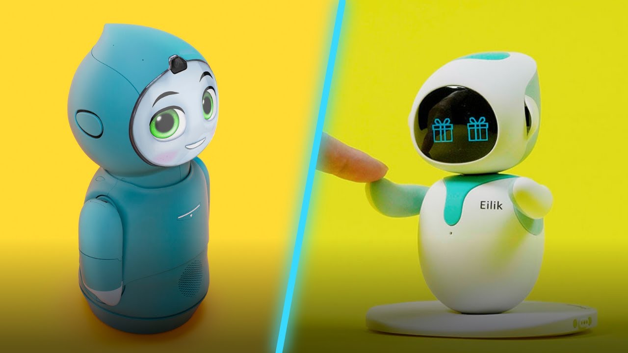 TOP 10 BEST PERSONAL ROBOTS IN 2024