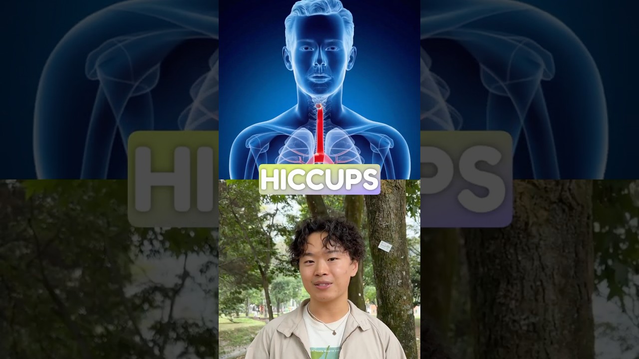 Why Hiccups Happen: The Diaphragm's Spasm Party
