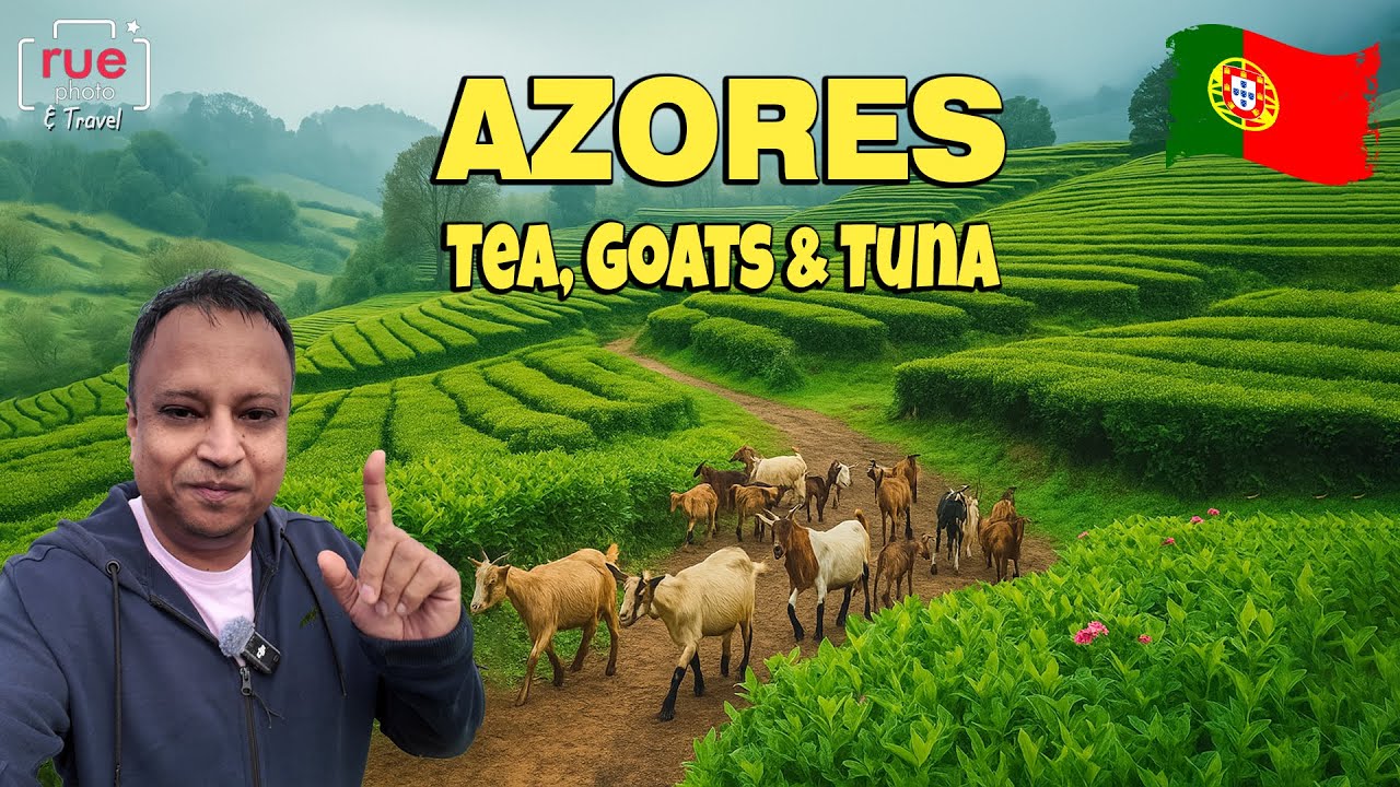 What's So Special About The AZORES, PORTUGAL? 🇵🇹