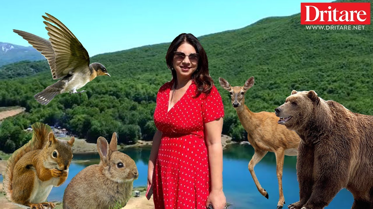 Në Shebenik, në parajsë! - Vlog në Dritare|03.06.2022