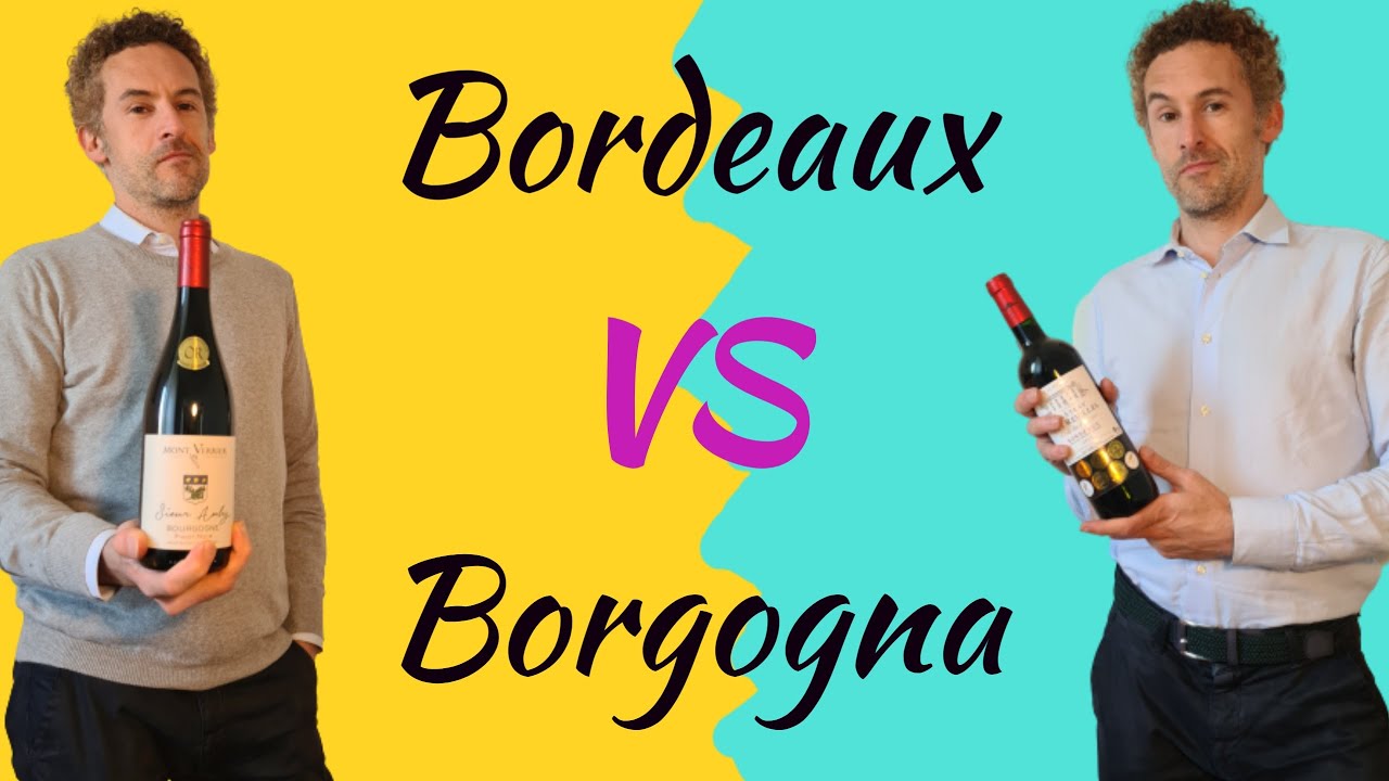 VINI FRANCESI: Bordeaux vs Borgogna