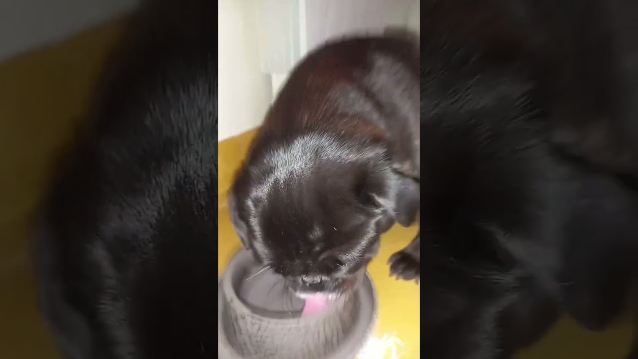 25 de mar&ccedil;o de 2025