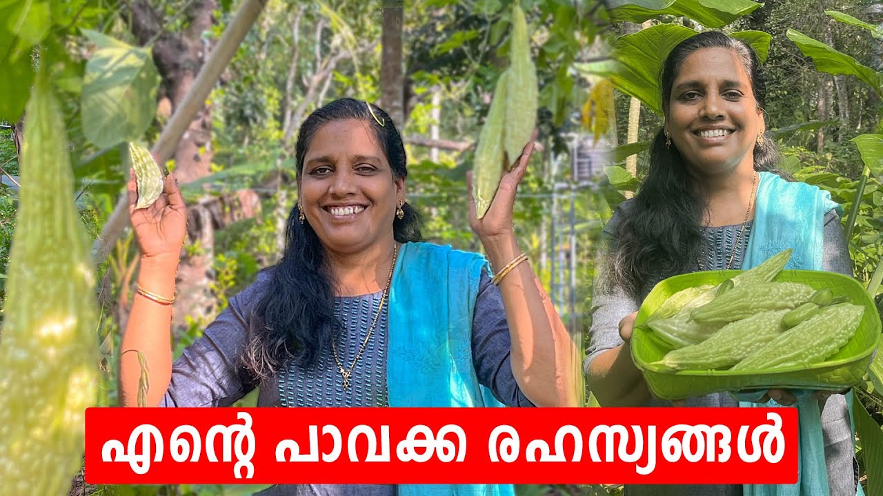 എന്റെ പാവക്ക രഹസ്യങ്ങൾ  | Mini's Lifestyle