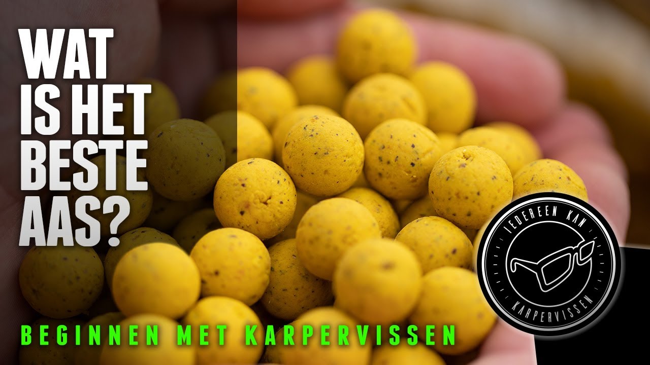 Beginnen met karpervissen: Wat is het beste aas?