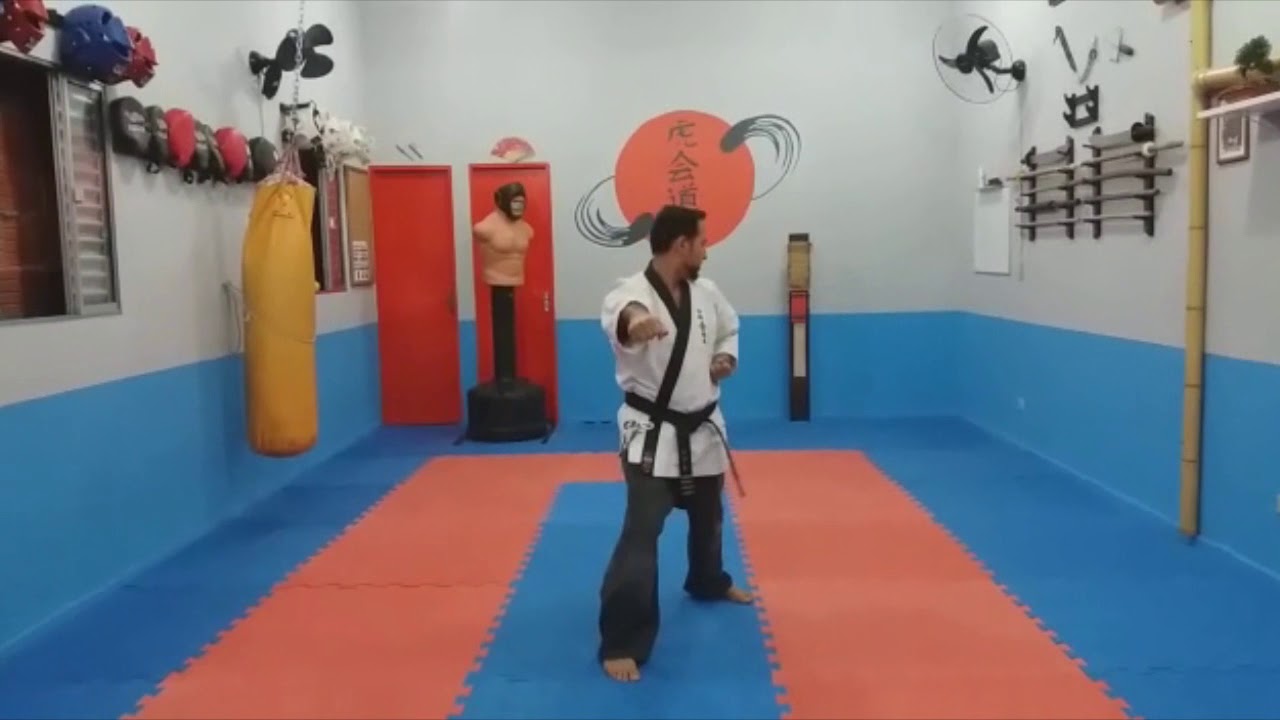 Hapkido - 