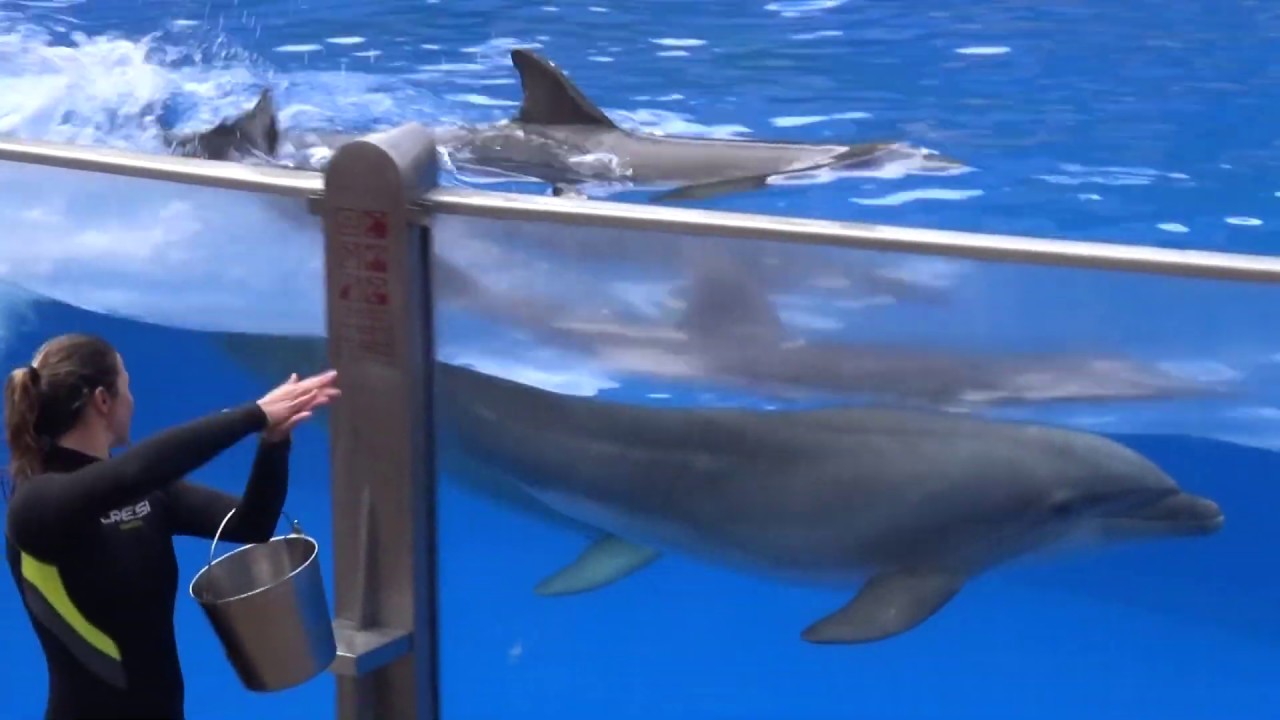 Palmitos Park   Gran Canaria grudzień 2019 r