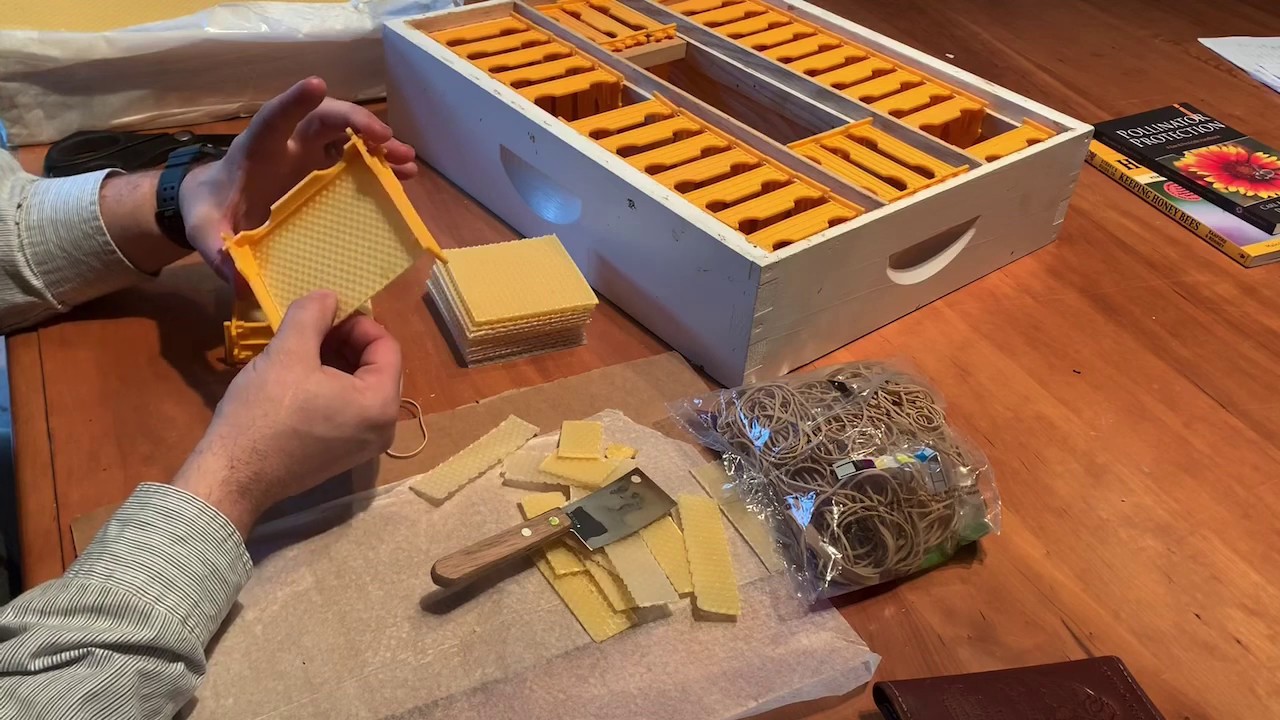 Foundation setup in mini-nucs | Beekeeping