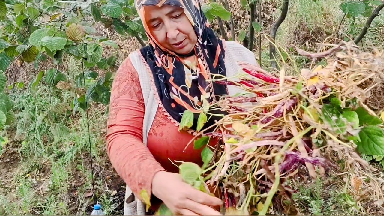 Yağmurlu G&uuml;nde Bah&ccedil;e Turu 🌧️ | Pırasa, Fasulye, Tohum ve Fide