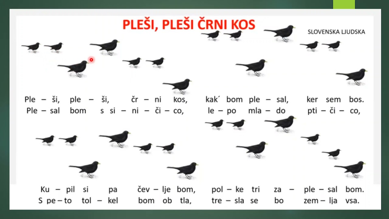 pleši, pleši črni kos