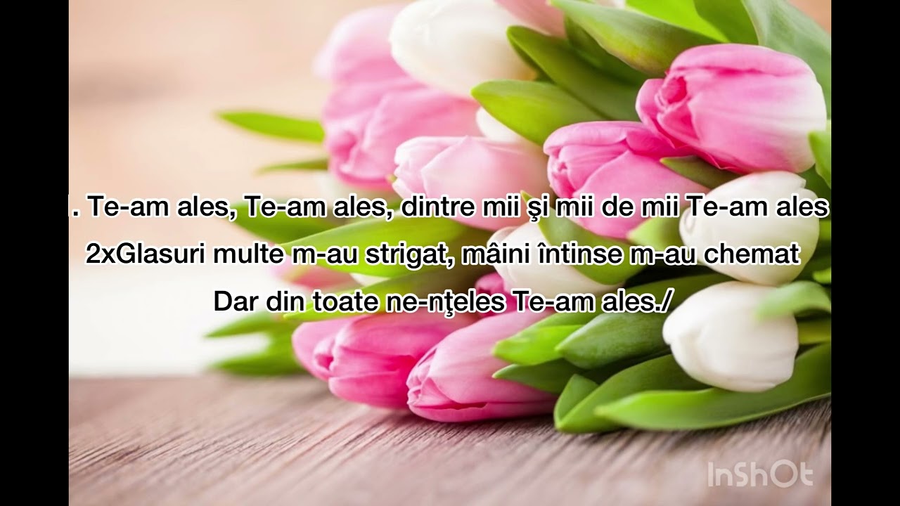 Te-am ales Negativ