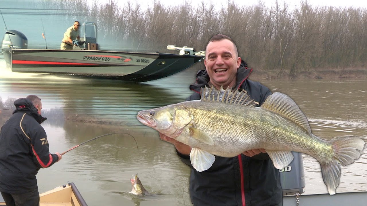 Pecanje smuđa na reci Savi u Hrvatskoj - Dragon Aluminum Boats čamci za ribolov
