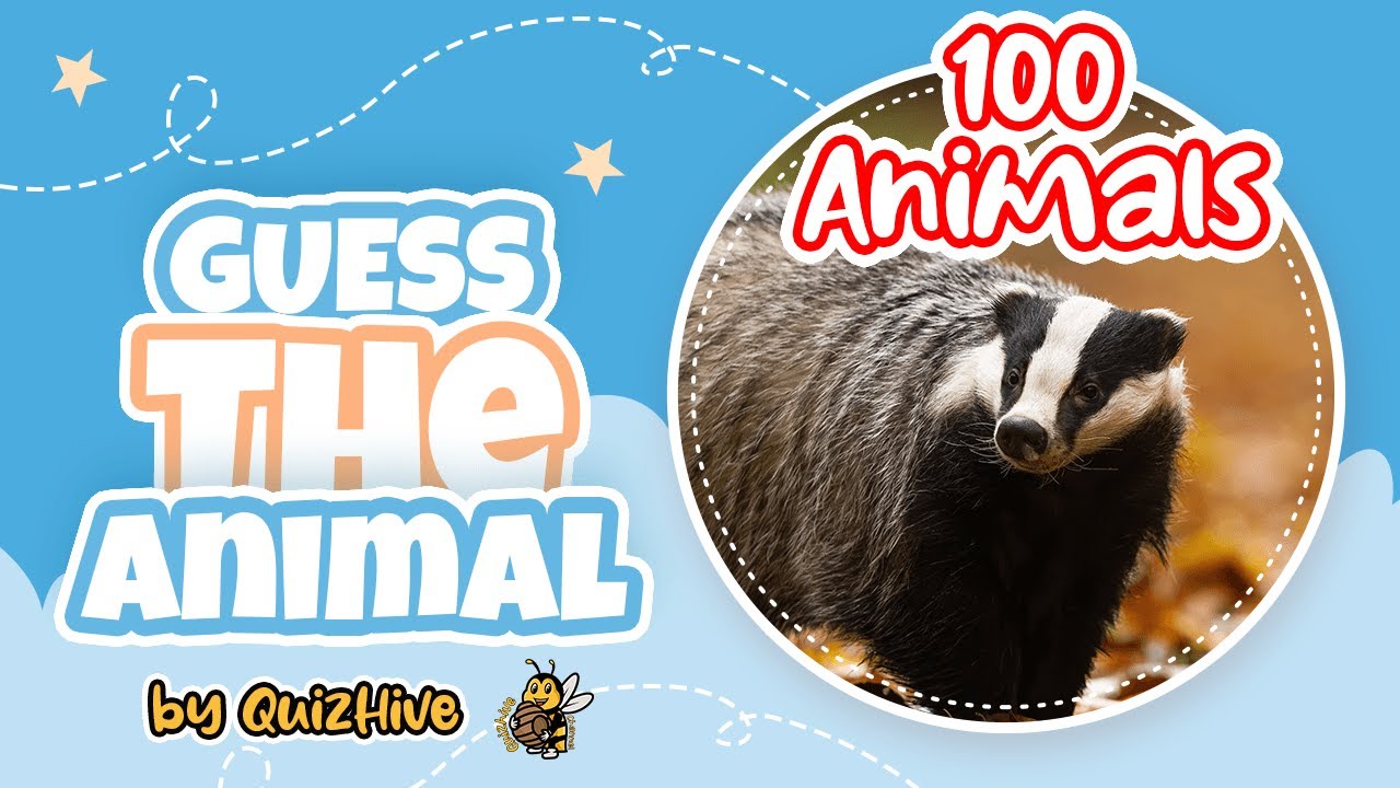 Guess 100 Animals within 3 seconds