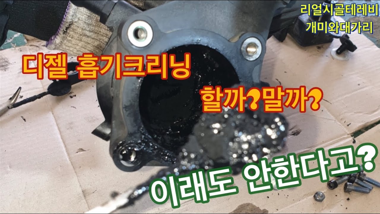 카니발 디젤 흡기크리닝,인젝터 크리닝, 거품없이 착한가격으로 개미가 해결해 드릴께요/Intake air cleaning