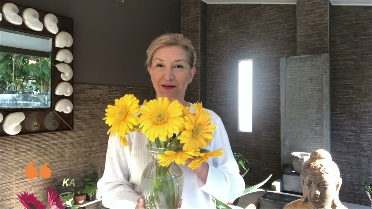 BODRUM PAPATYASI (GERBERA) BAKIMI-SULAMA-SAKSI-TOPRAK-IŞIK VE BÜTÜN DETAYLARIYLA.