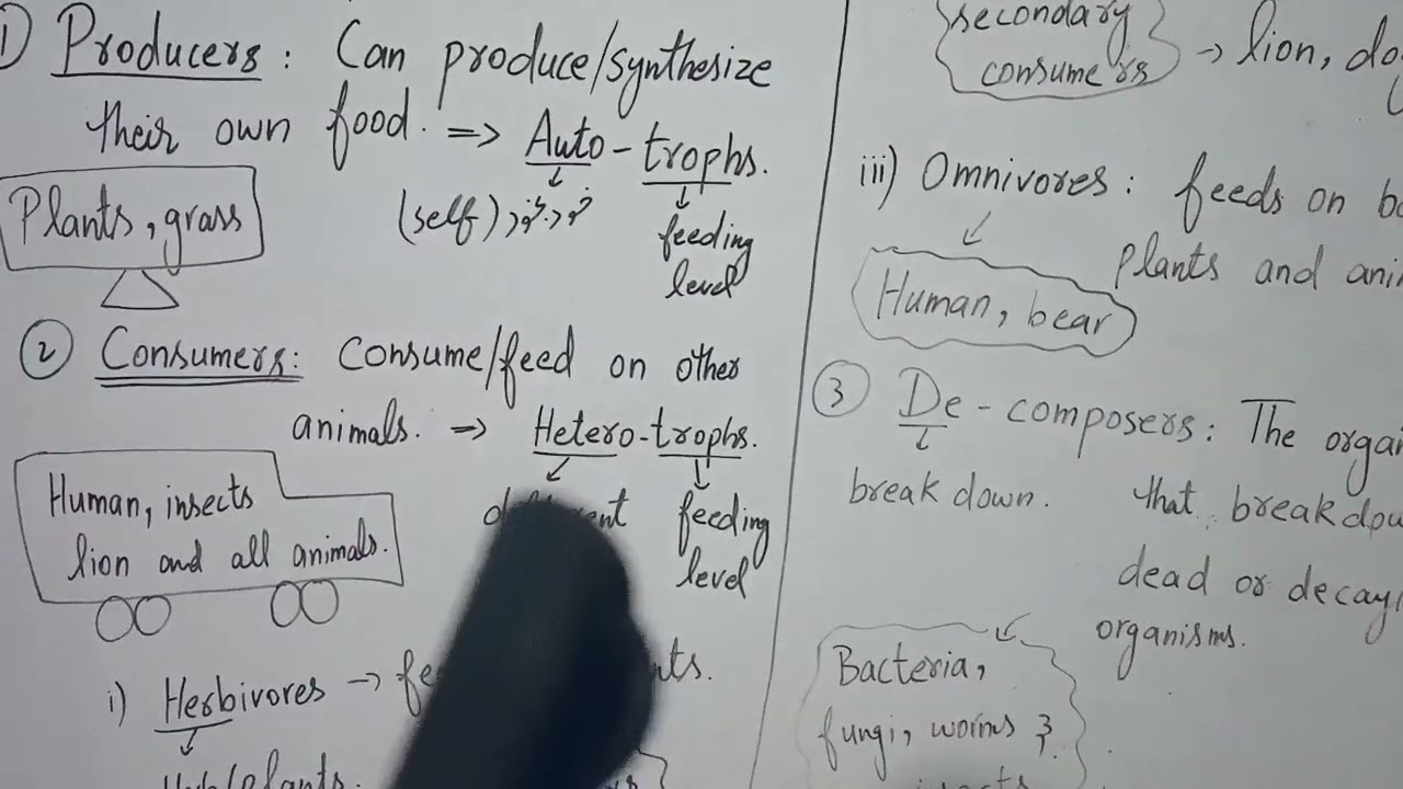 Biotic components of the ecosystem (Producers, consumers and decomposers)