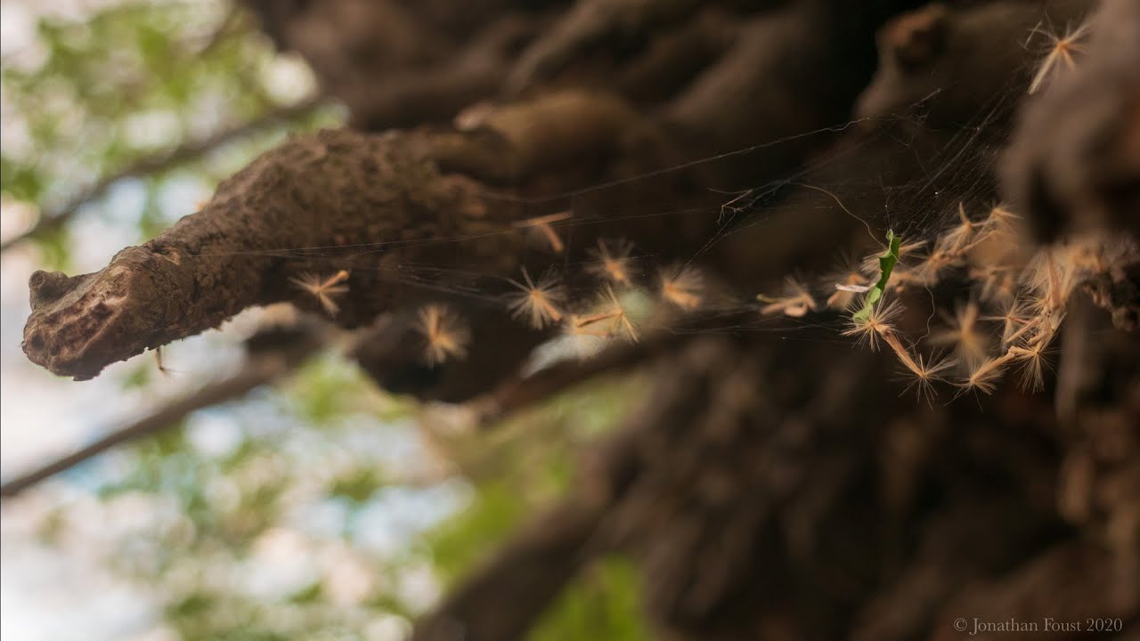 Understanding Fear with Jonathan Foust