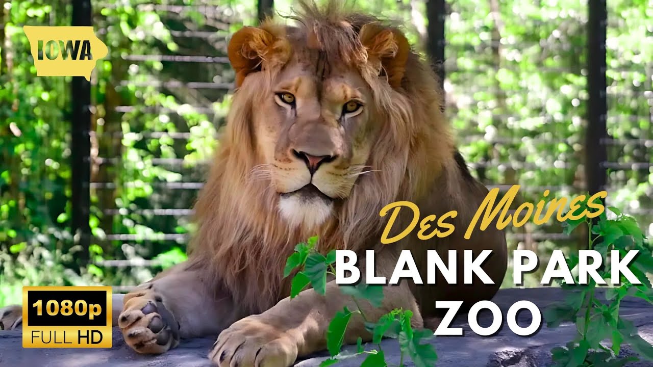 Iowa Travel Guide: Is Blank Park Zoo Des Moines Iowa’s Best Attraction? 🐾
