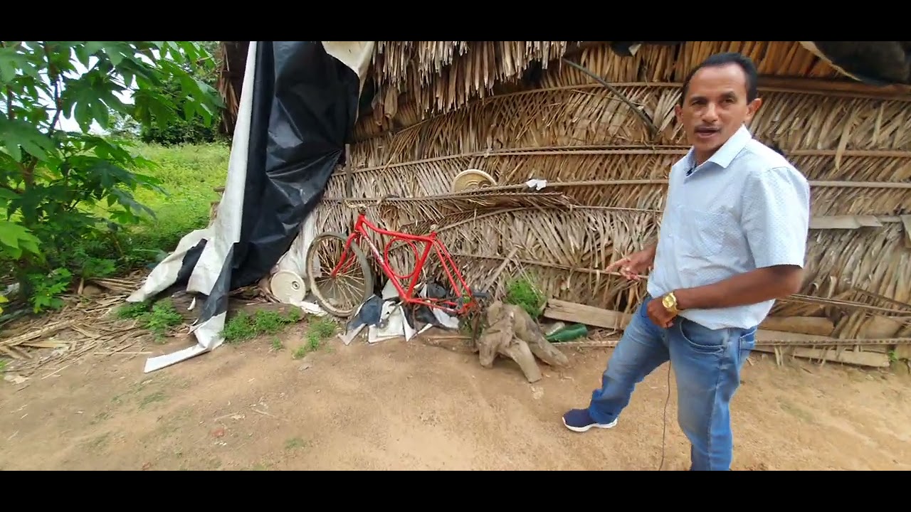 Manoel Gomes Caneta Azul mostra no sertão as CASAS ANTES E DEPOIS  no meu povoado em BALSAS