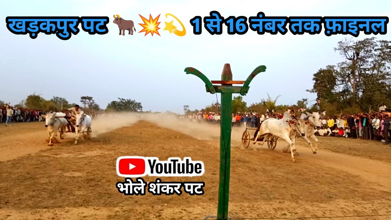खड़कपुर पट 1 से 16 तक सभी बैल जोड़ी फाइनल वीडियो #videoviral #bull #ox #race #bailgadasharyat 
