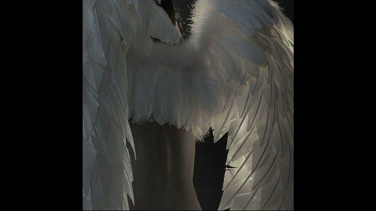 [FREE] Iayze + Regalia Type Beat 