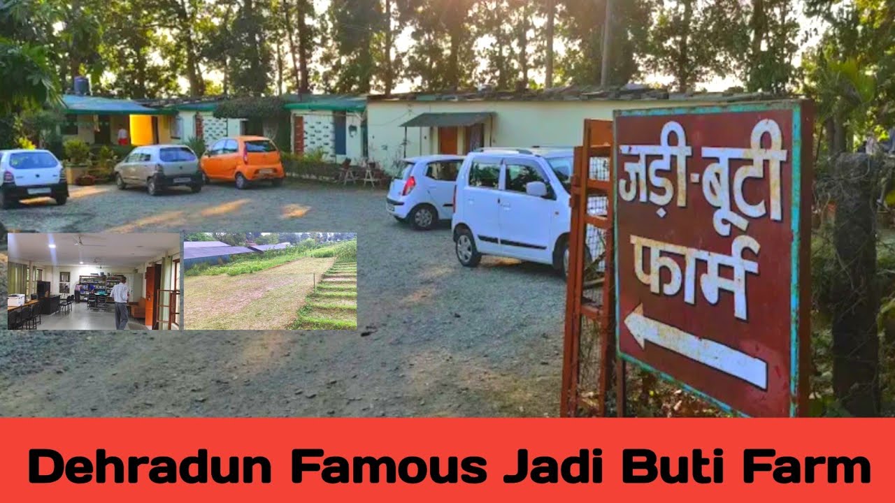 Dehradun Railway Station To Jadi buti Farm Full Address Guide || Kamdev Prasad Painuley || Aadil