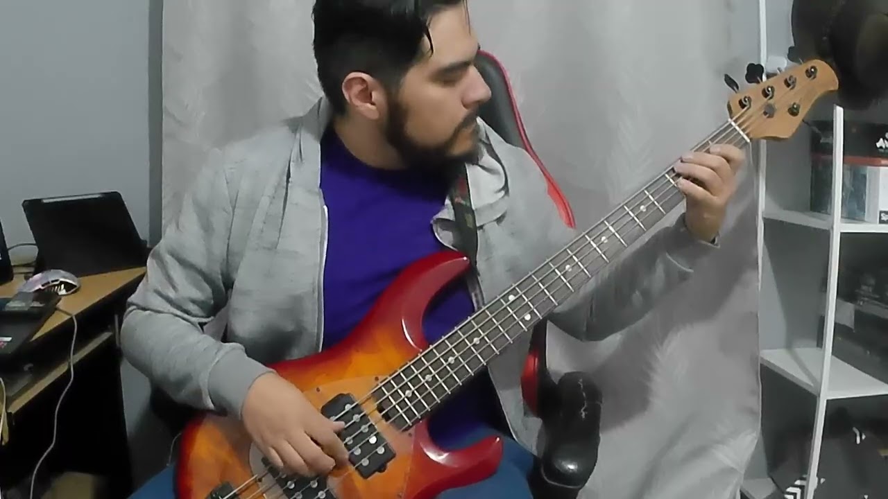 It´s My Life - Talk Talk Bass Cover