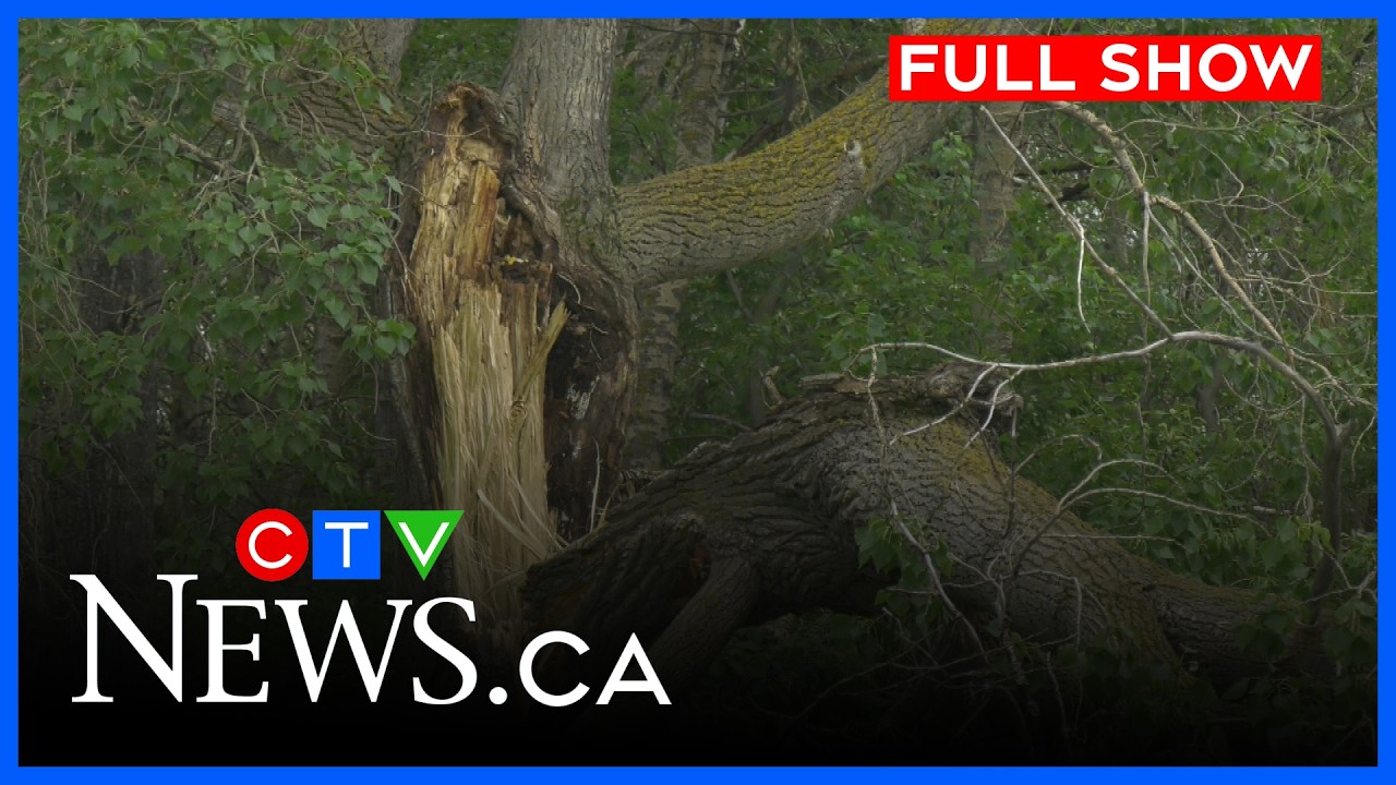 Поваленные деревья и разрушения в Эдмонтоне после шторма | CTV News Edmonton в 23:30 от 27 июля 2...