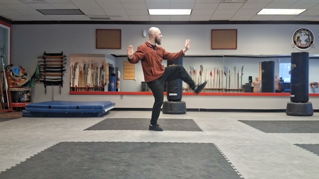 Yang Style 49-Step 