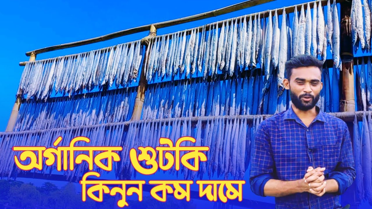 মহেশখালীর ঐতিহ্যবাহী শুটকি পল্লী|অর্গানিক শুটকি কিনুন পাইকারি দামে|Organic DryFish Wholesale Market