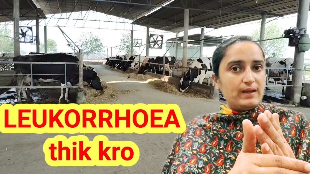 leukorrhoea thik kro 100 %