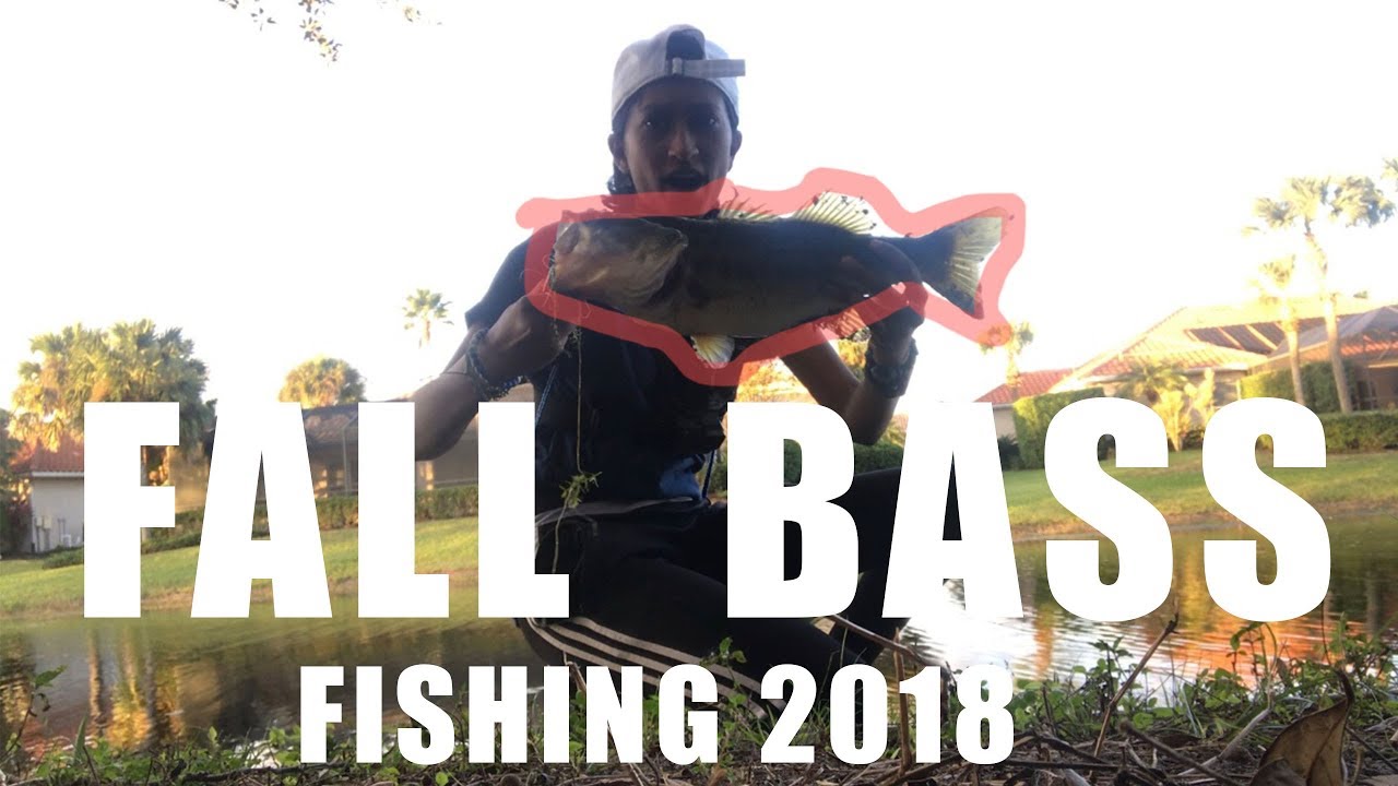 FALL Bass Fishing 2018