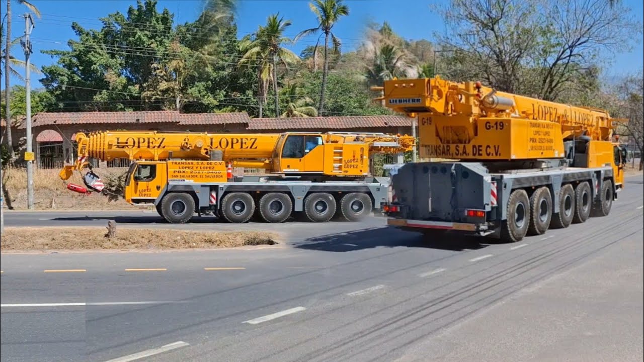 La ley del más fuerte. @lapanamsv 
