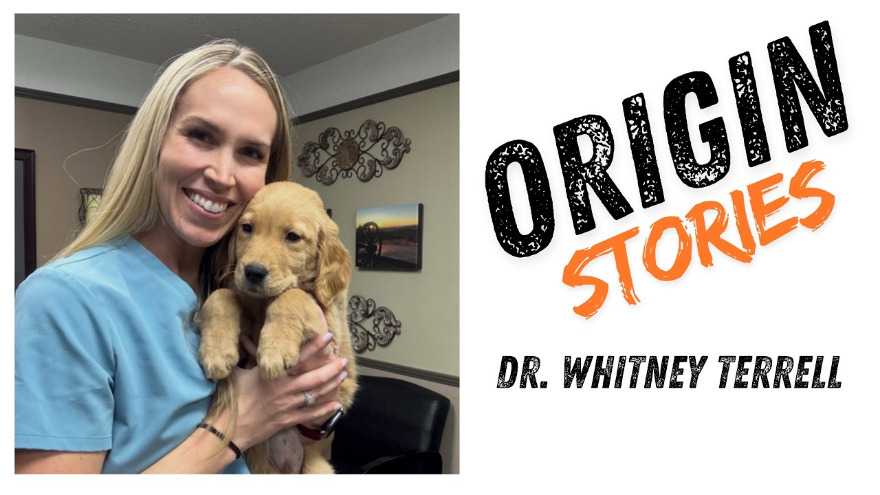 Dr  Whitney Terrell   Origin Stories