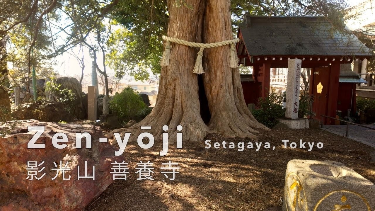 Quiet Temple Walk | Zen-yōji Temple – Setagaya, Tokyo | 善養寺 (4K)