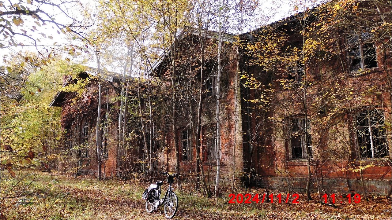 ГСВГ. Altes Lager. Территория в/ч 47280  2.11,2024