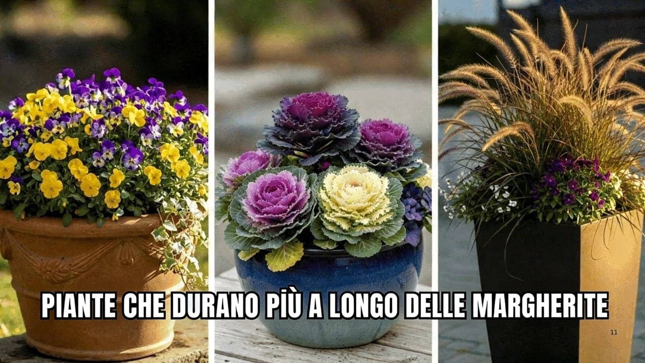 Non Smettere di Piantare!7 Piante da Vaso Autunnali Irrinunciabili che Mettono in Ombra i Crisantemi