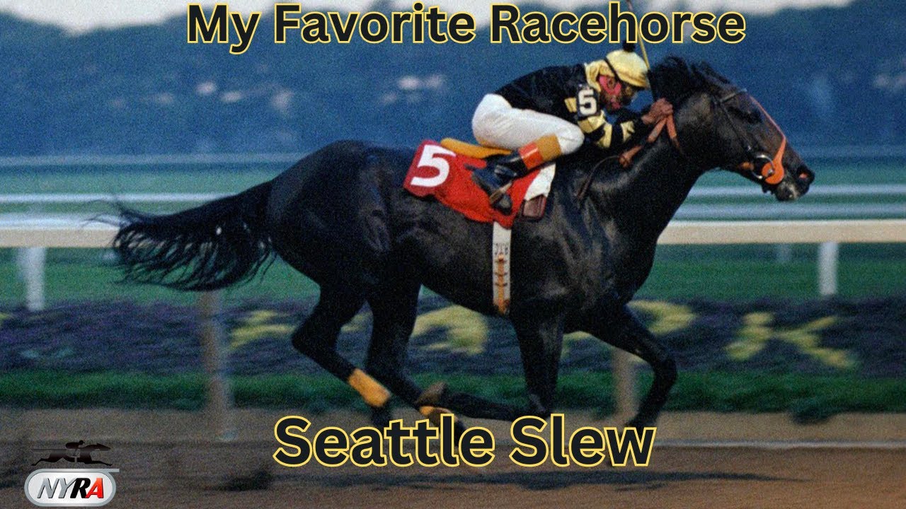 Моя любимая скаковая лошадь: Seattle Slew с @Roadwarrior627