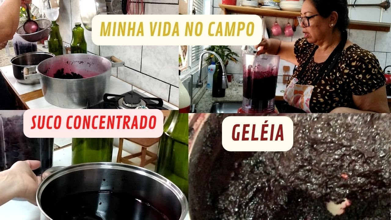 APENAS AMORA E AÇÚCAR  EU FIZ SUCO CONCENTRADO E GELÉIA