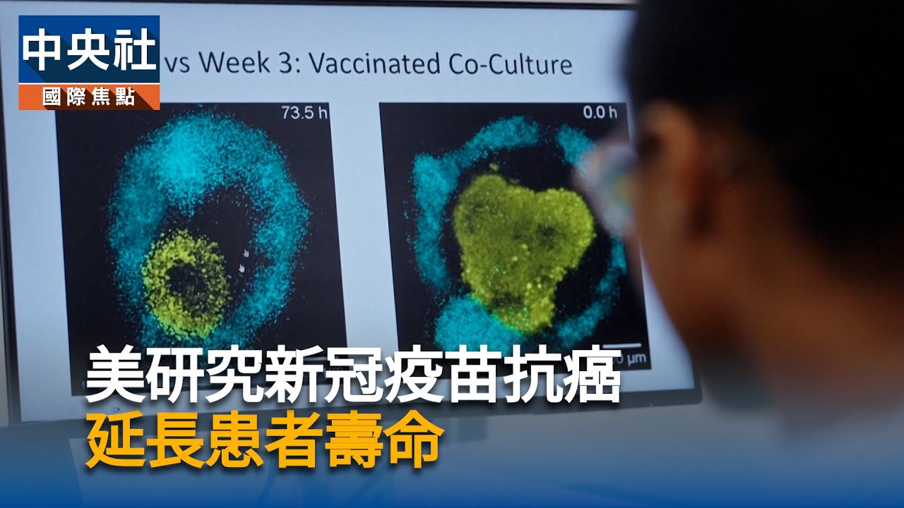 美研究新冠疫苗抗癌　延長患者壽命｜中央社影音新聞