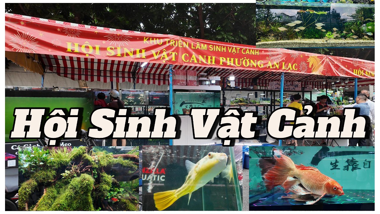 Bất Ngờ Với Hội Sinh Vật Cảnh Ở Hội Hoa Xuân 2026 #saigontoiyeu #locsaigon #fish #cakoi #chepphitan