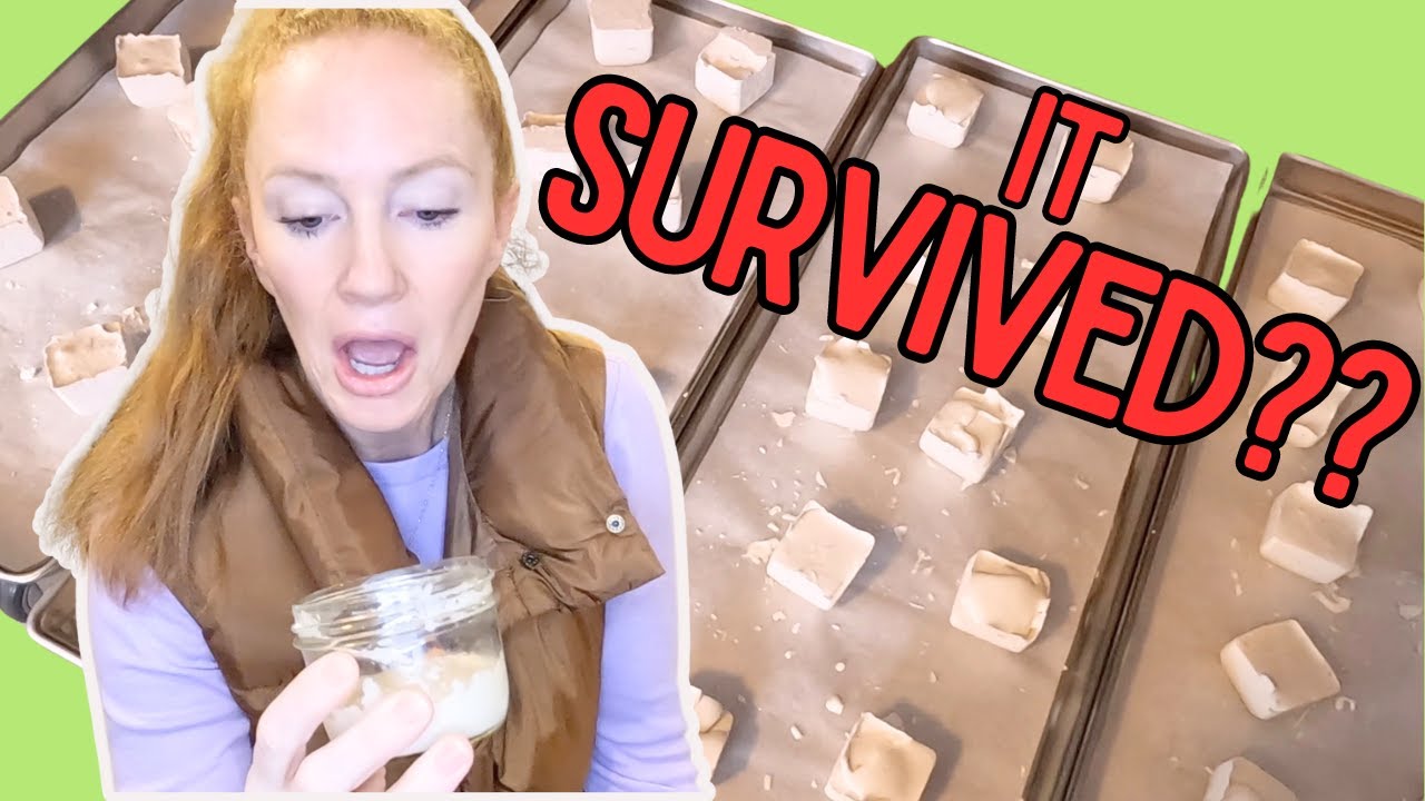 Never Waste Sourdough Starter Again: Freeze Dry it!