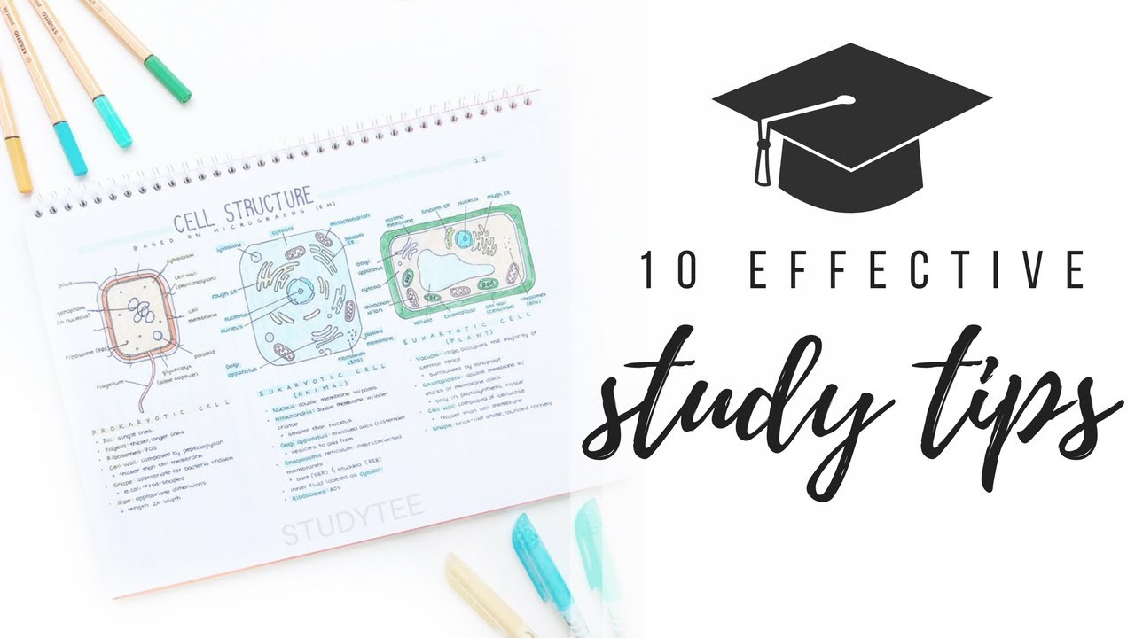 10 effective study tips | studytee