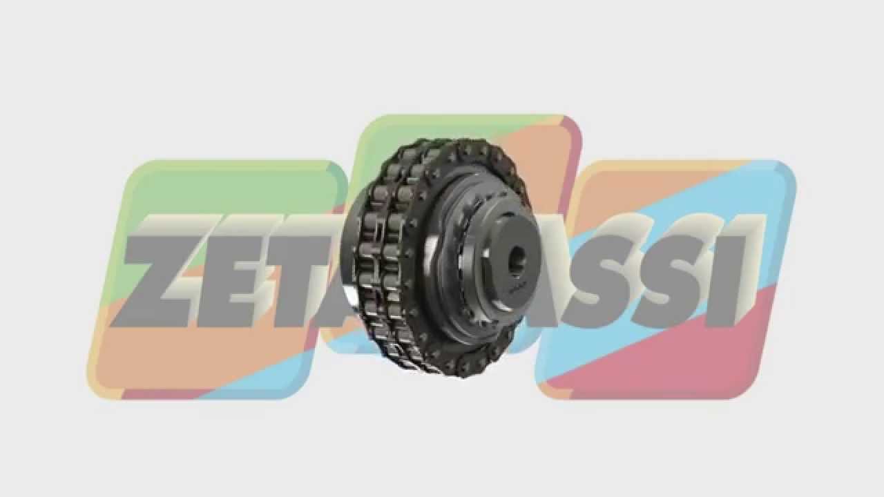 TORQUE LIMITER WITH CHAIN COUPLING