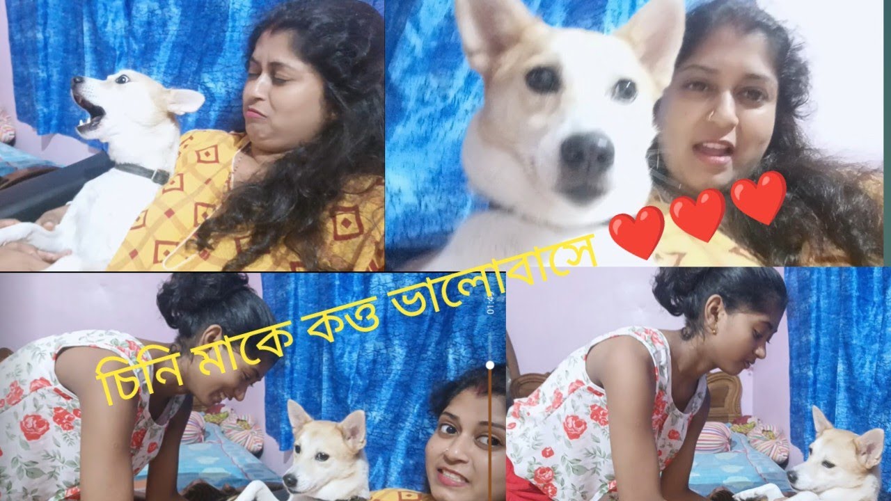 চিনি এখন মাকে ছেড়ে যাবে না koto valobase ma k❤️❤️❤️#viralvideo #vlog