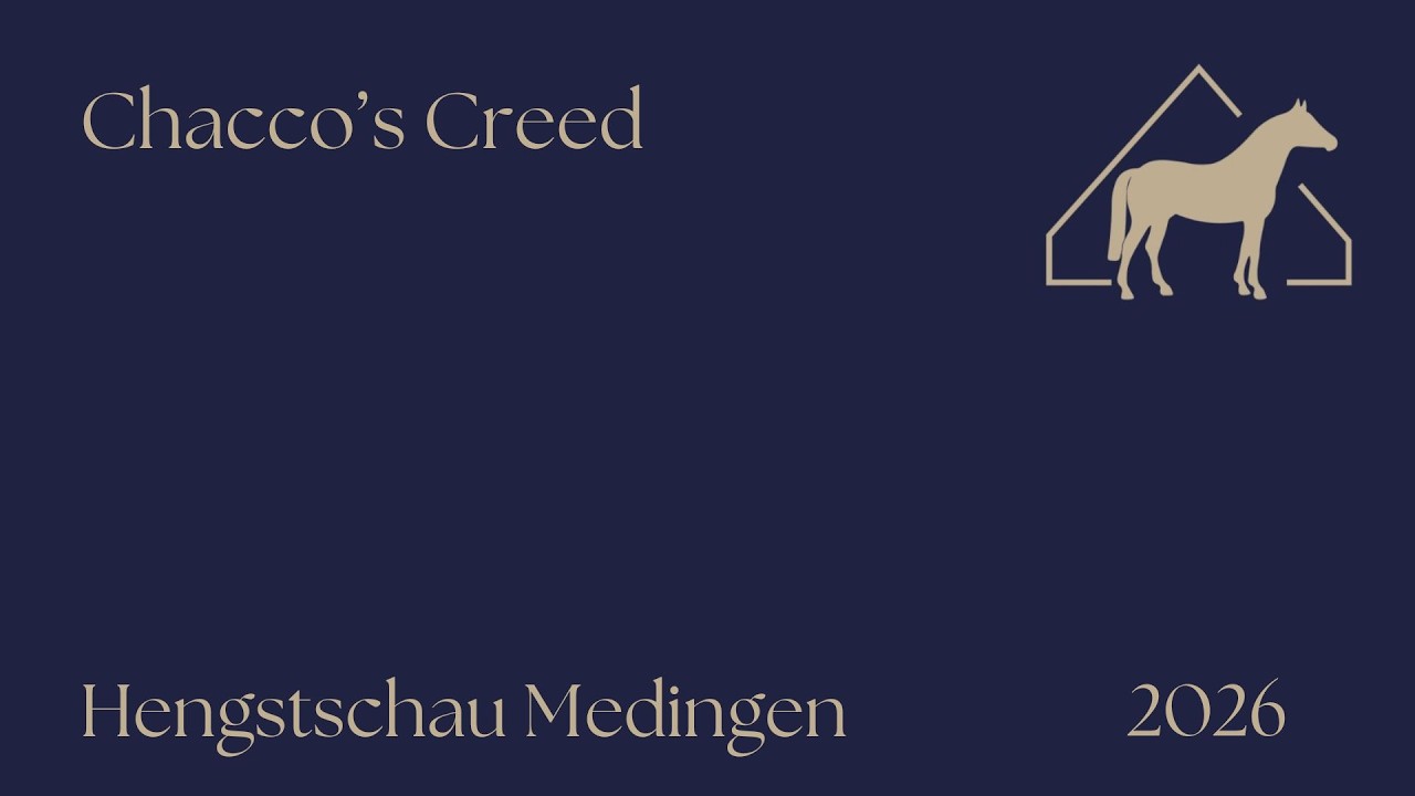 Hengstschau 2026 Chacco‘s Creed