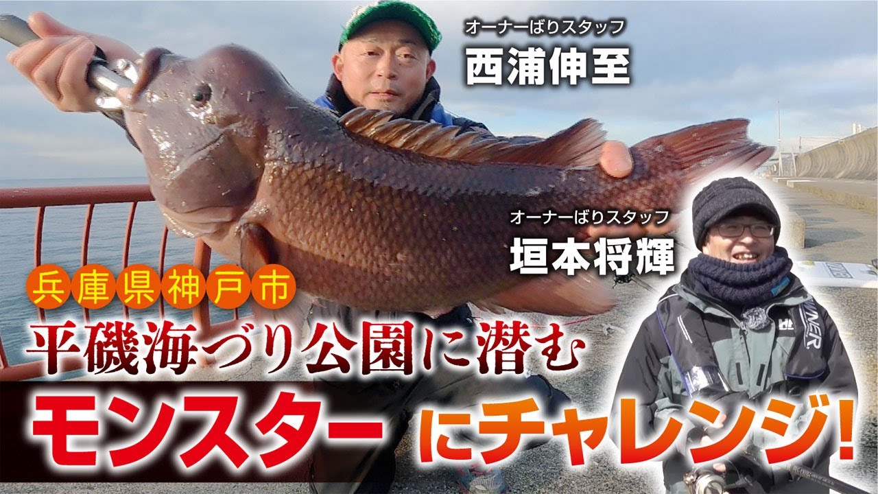 平磯海づり公園に潜むモンスターにチャレンジ！