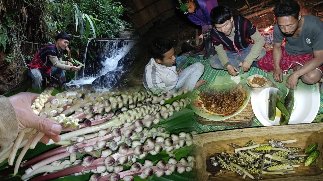 Go pick seasonal vegetables in the forest and cook them up, they are very delicious.