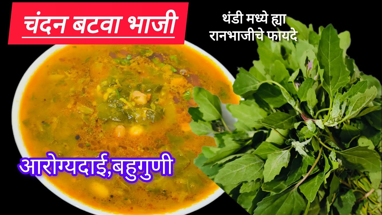 चंदन बटव्याचि भाजी व भाकरी खायला|हिवाळ्यात आरोग्याला पौष्टिक असणारी चंदन बटवा रानभाजी