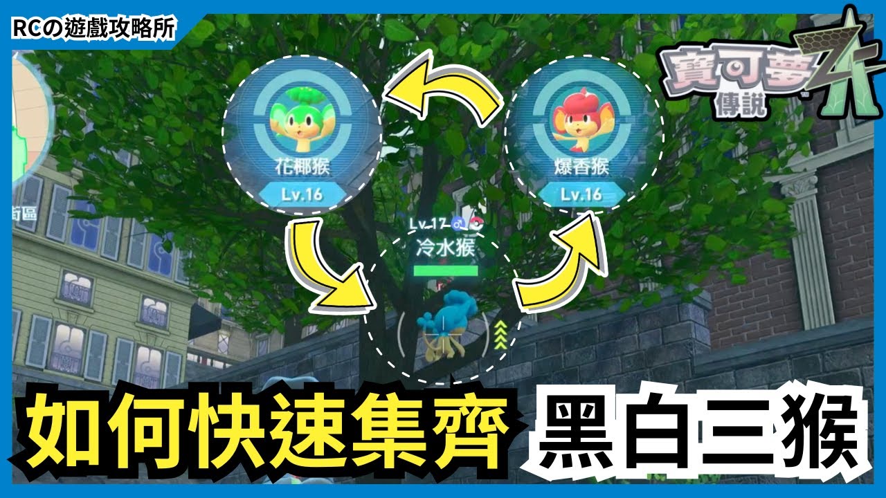 【寶可夢傳說ZA】新手必看🔥秘技大公開，快速集齊黑白3猴方法教學｜花椰猴｜爆香猴｜冷水猴